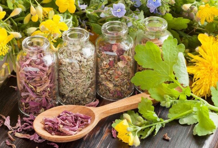 Herbal preparations for making medical infusions and decoctions