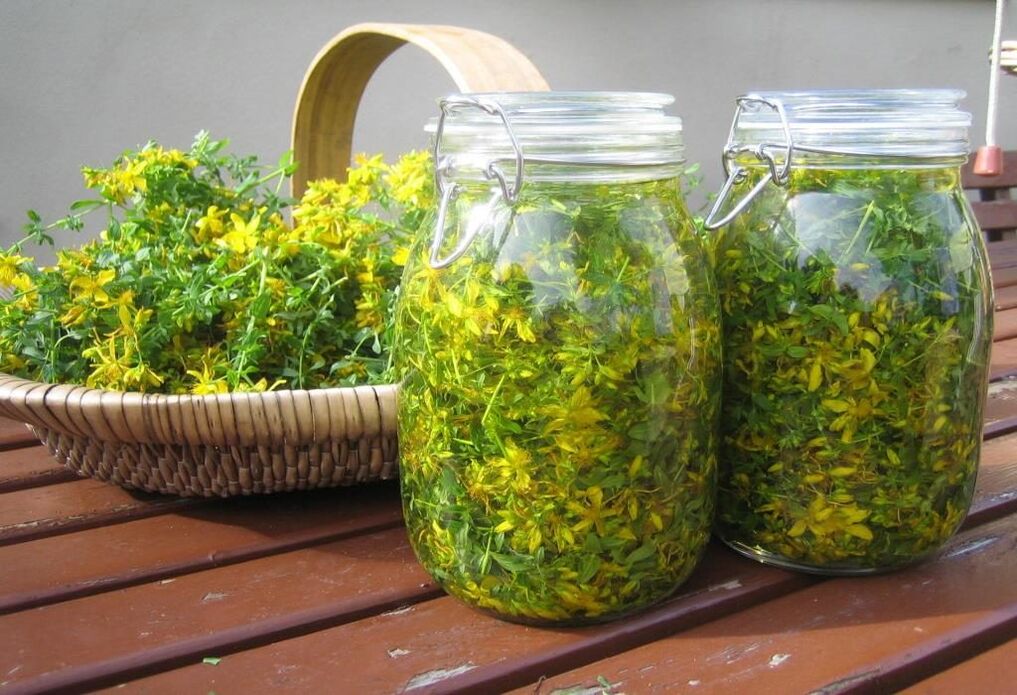 St. John's wort infusion for the treatment of cervical osteochondrosis